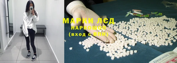 гашик Новодвинск