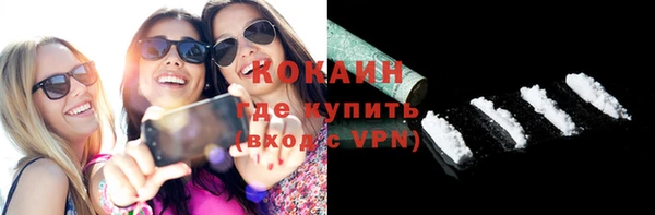 гашик Новодвинск