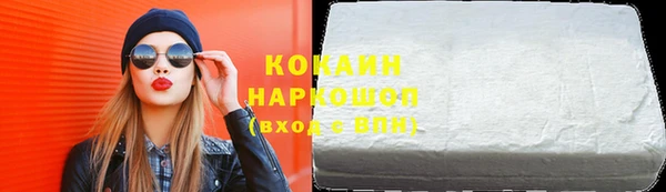 гашик Новодвинск
