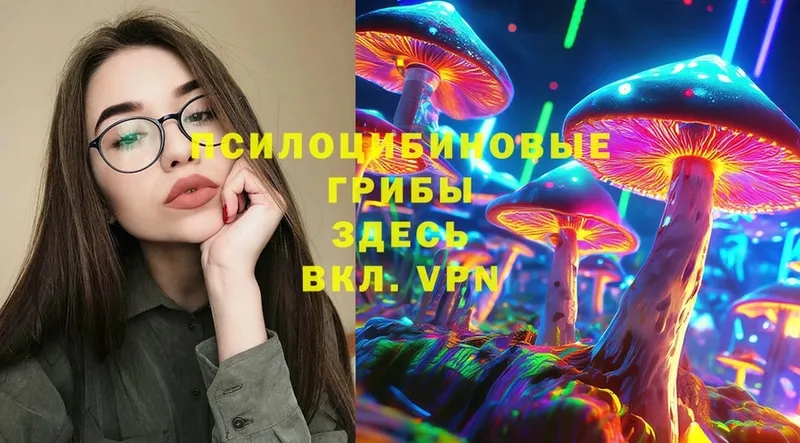 Галлюциногенные грибы Psilocybe  наркошоп  Любань 