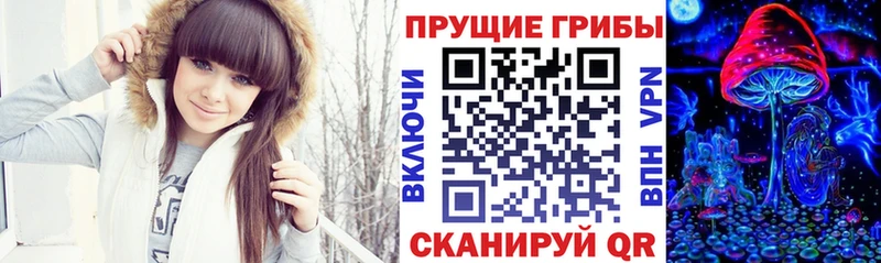 Псилоцибиновые грибы GOLDEN TEACHER закладки Любань